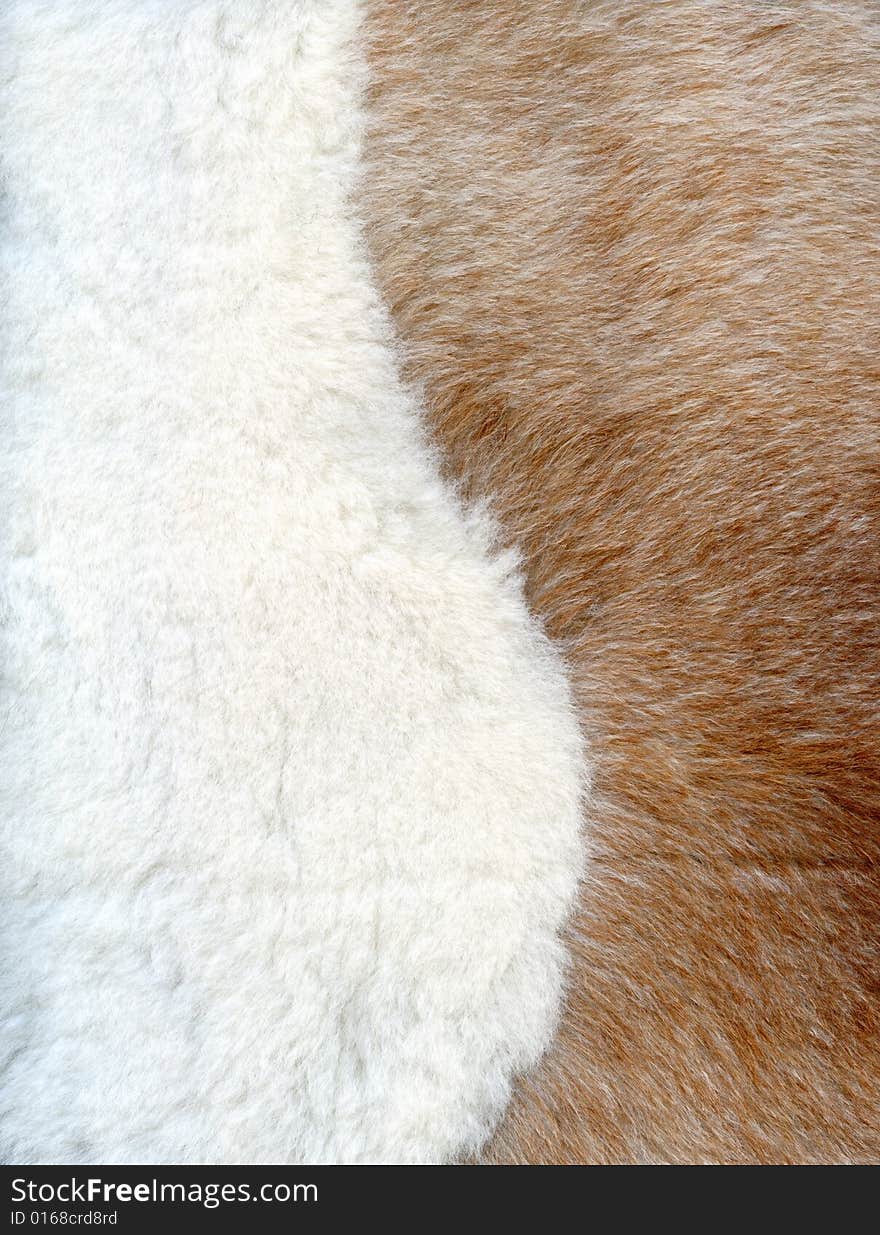 Brown and white fur texture to background