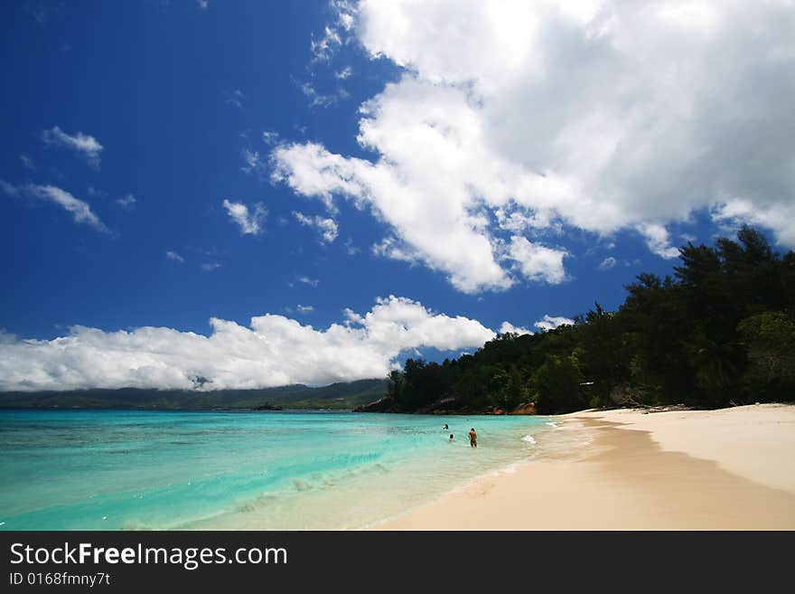 Tropical beach in the Indian Ocean