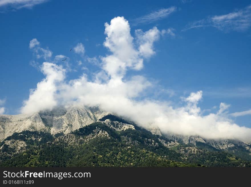 Mountain In Clouds