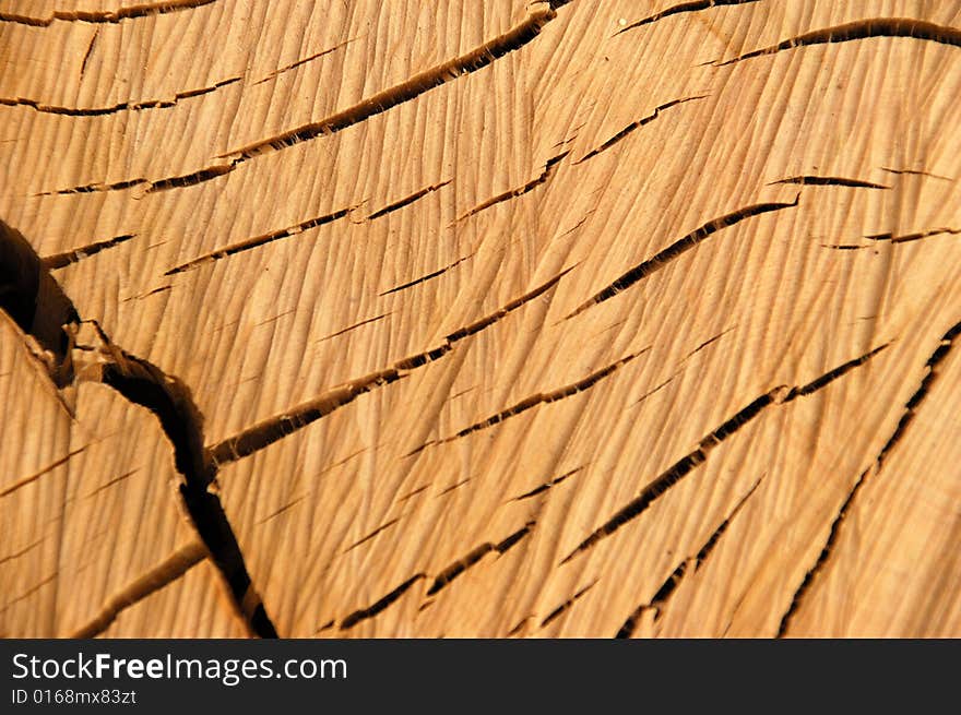 Wood Texture