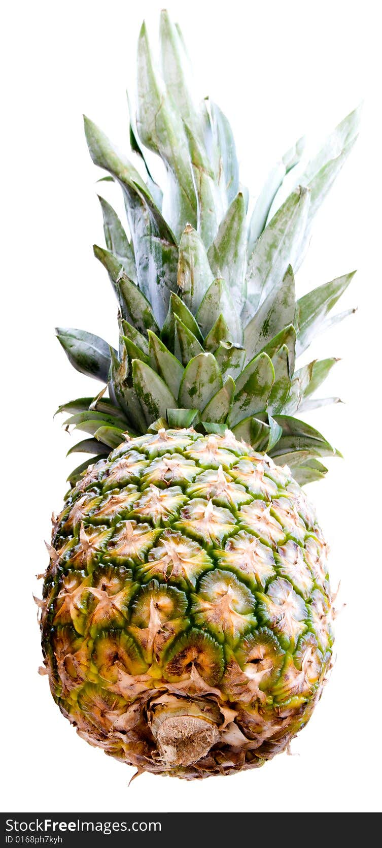 A pineapple isolated on a white background