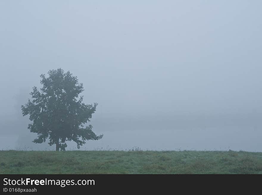 River Lek in the fog