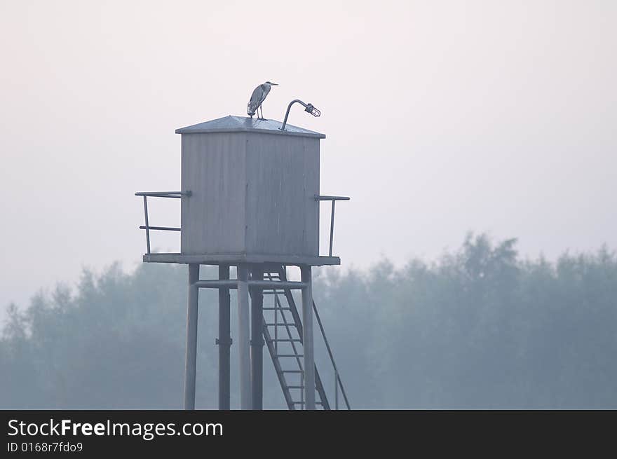 River Lek in the fog