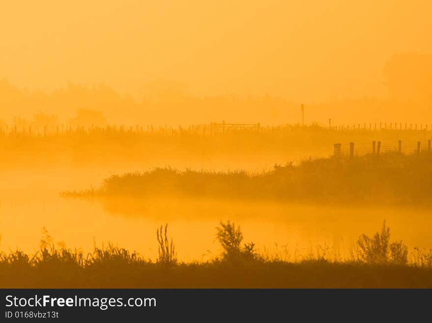 Foggy morning along the river