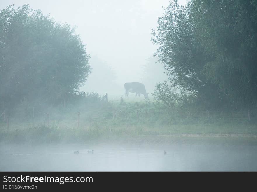 Foggy morning along the river