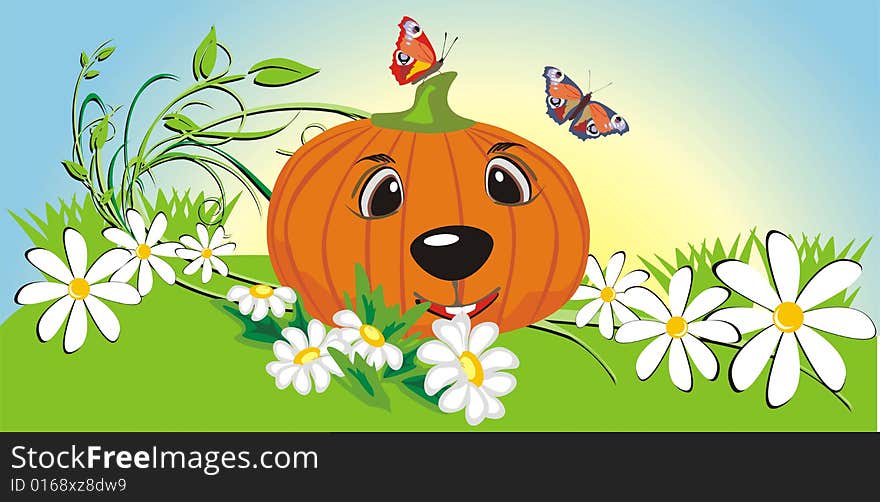 Pumpkin among chamomiles and butterflies. Vector illustration