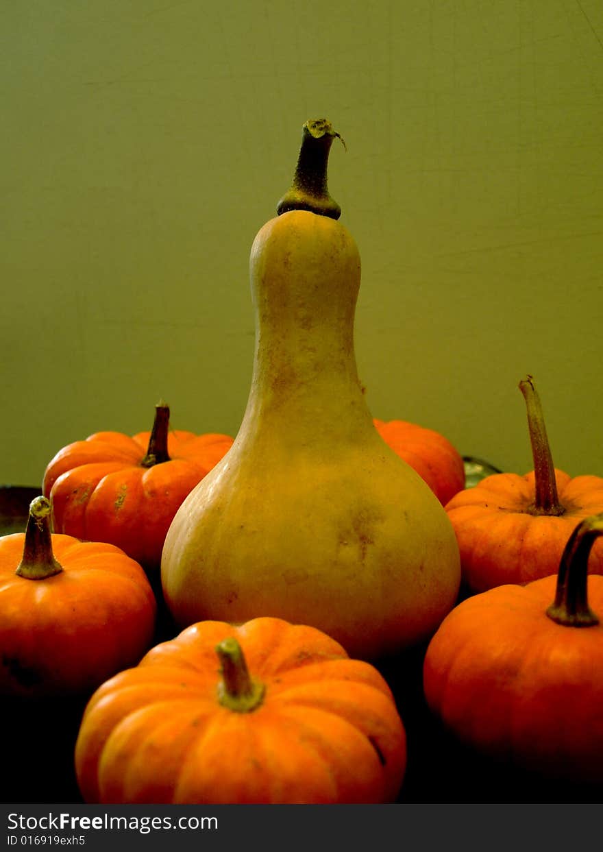 A good shot of some marrows in a plate