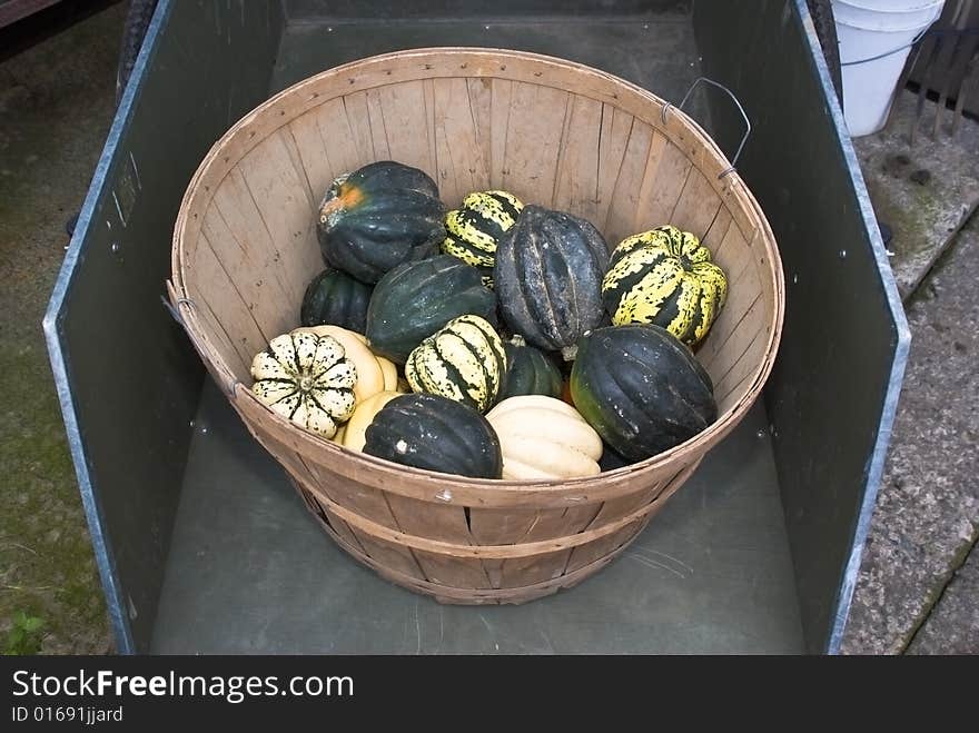 Assorted squash