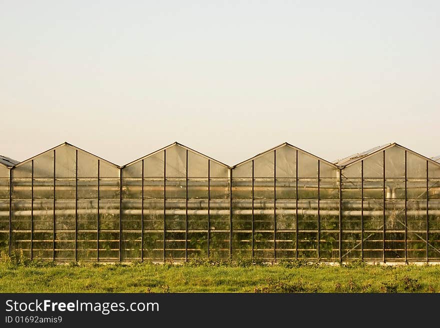 Frontside of a Dutch greenhouse under clear sky