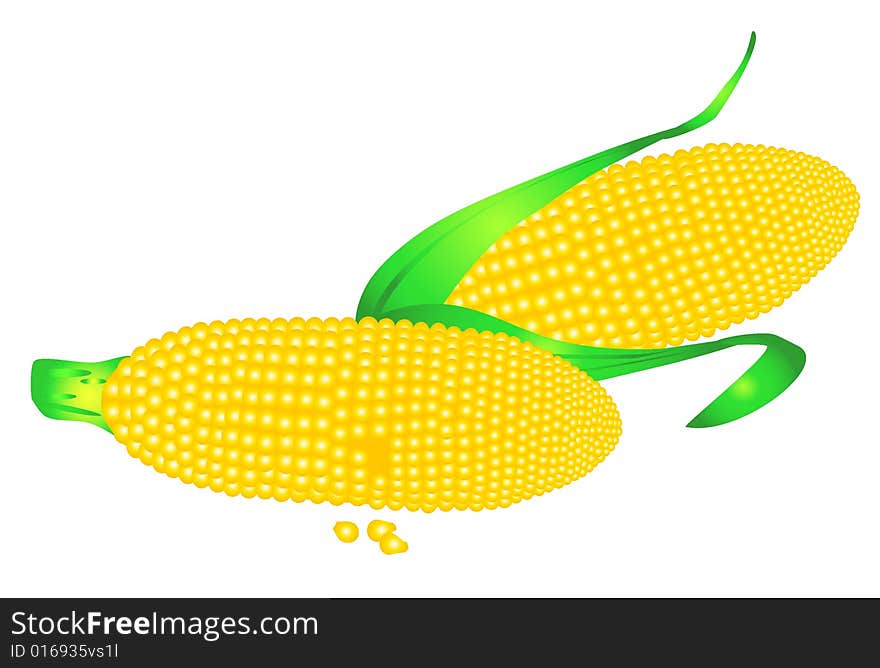 Corn