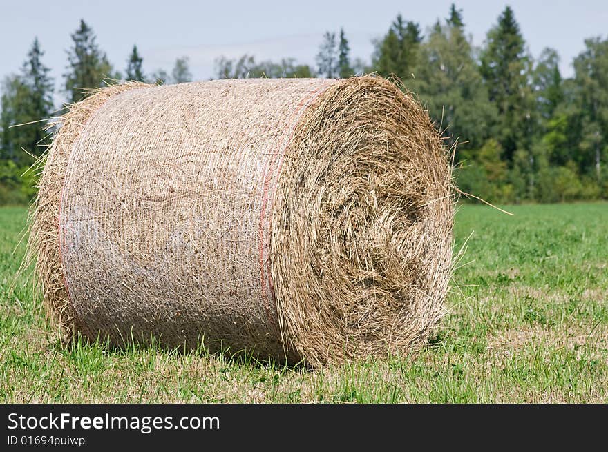 Hay bale