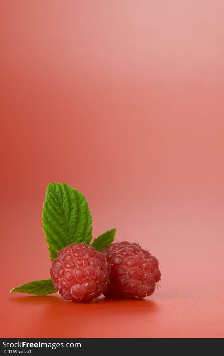 Close up view of nice fresh red raspberry. Good for label, lots of copy space. Close up view of nice fresh red raspberry. Good for label, lots of copy space.