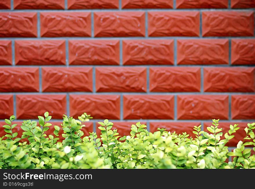 Green grass and red wall background. Green grass and red wall background