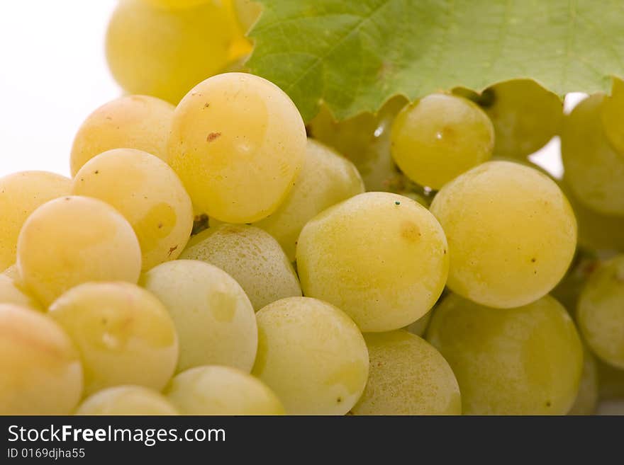 Grapes