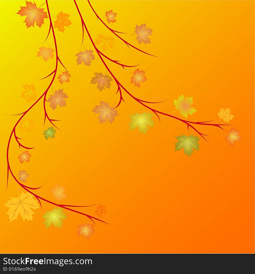 Autumn Leaves Background