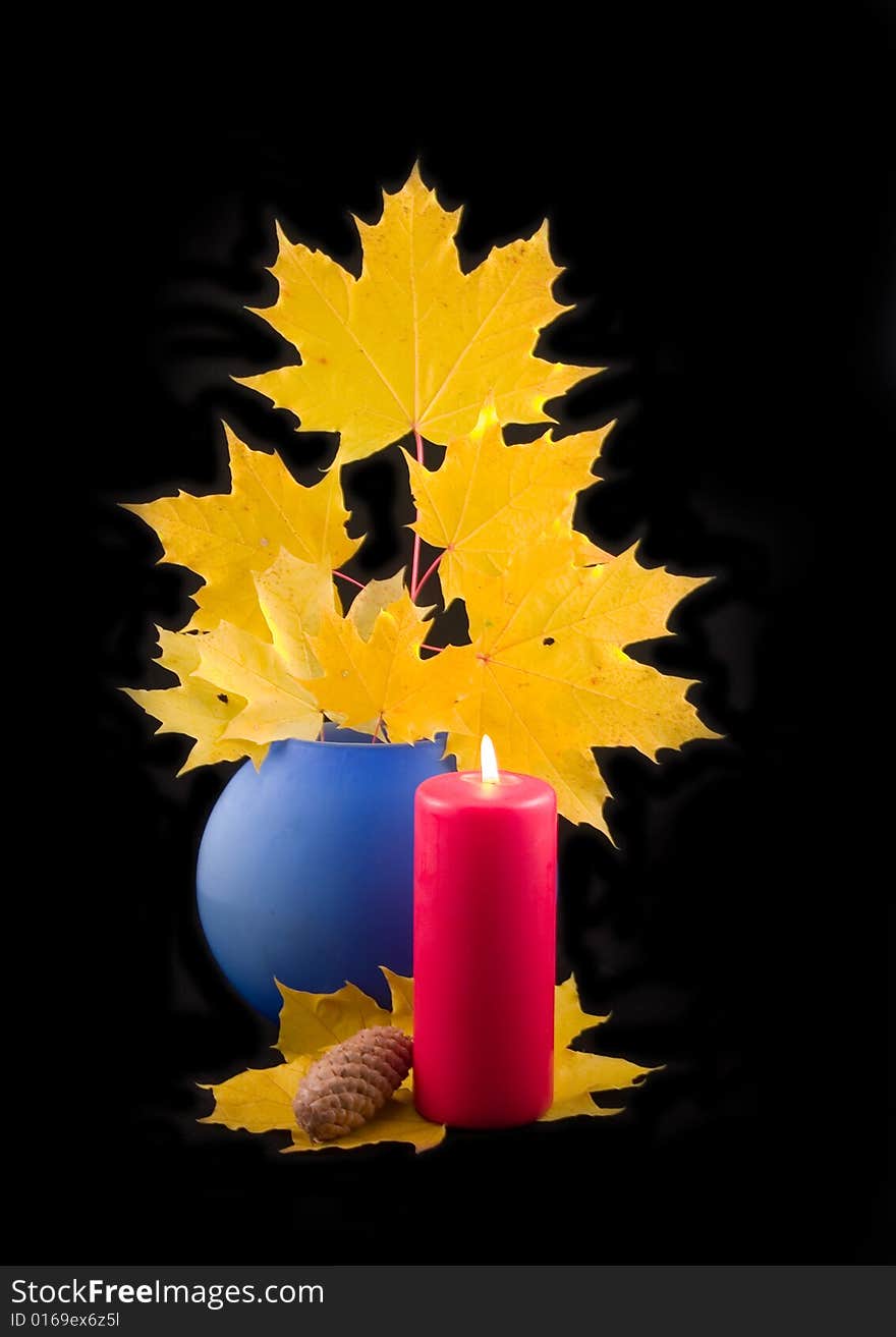 Yellow maple autumn beautiful leaves with branch in blue ceramic vase fur-tree and  red candle on black background