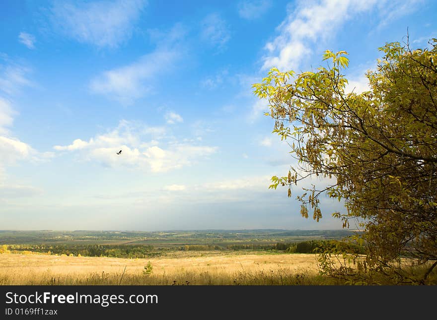 Autumn landscape