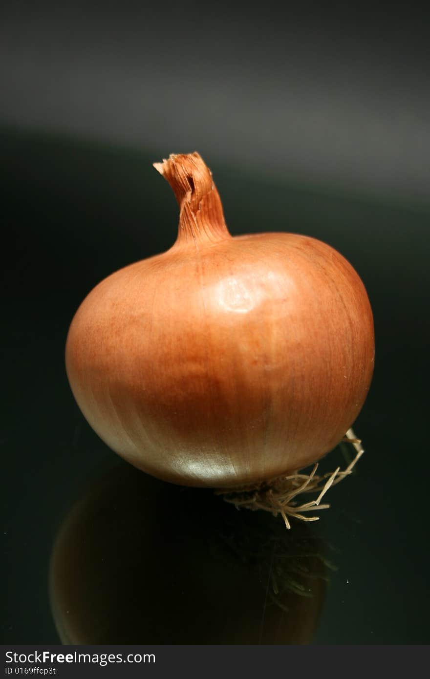 Golden onion isolated on dark background