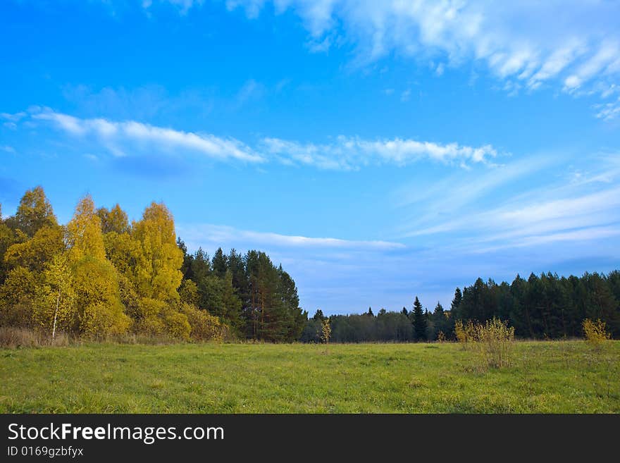 Meadow In Solar Autumn Day