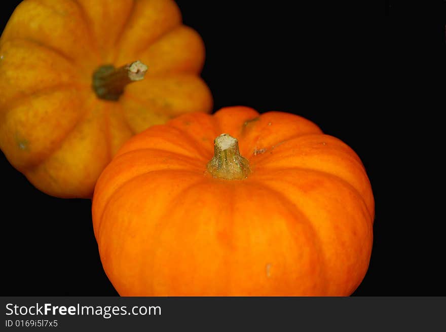 Two Mini-pumpkins