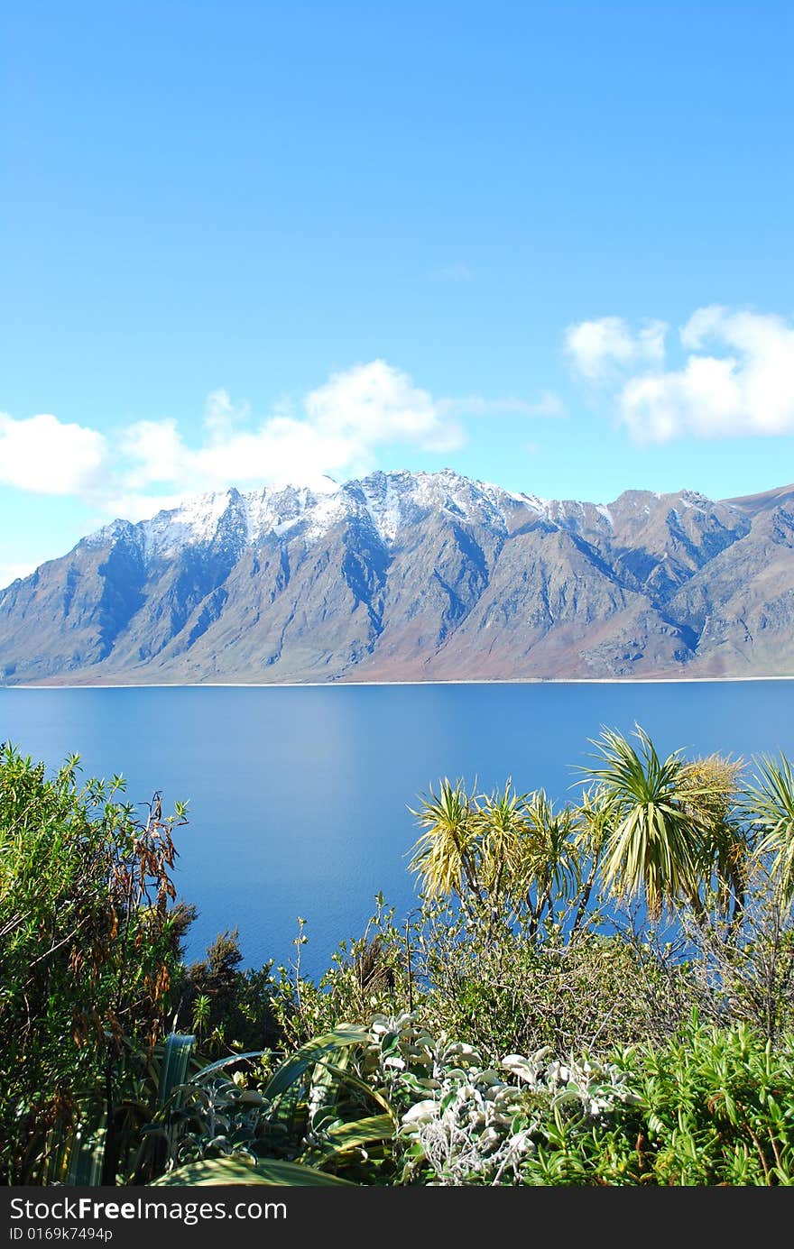 A scenery in New Zealand. A scenery in New Zealand