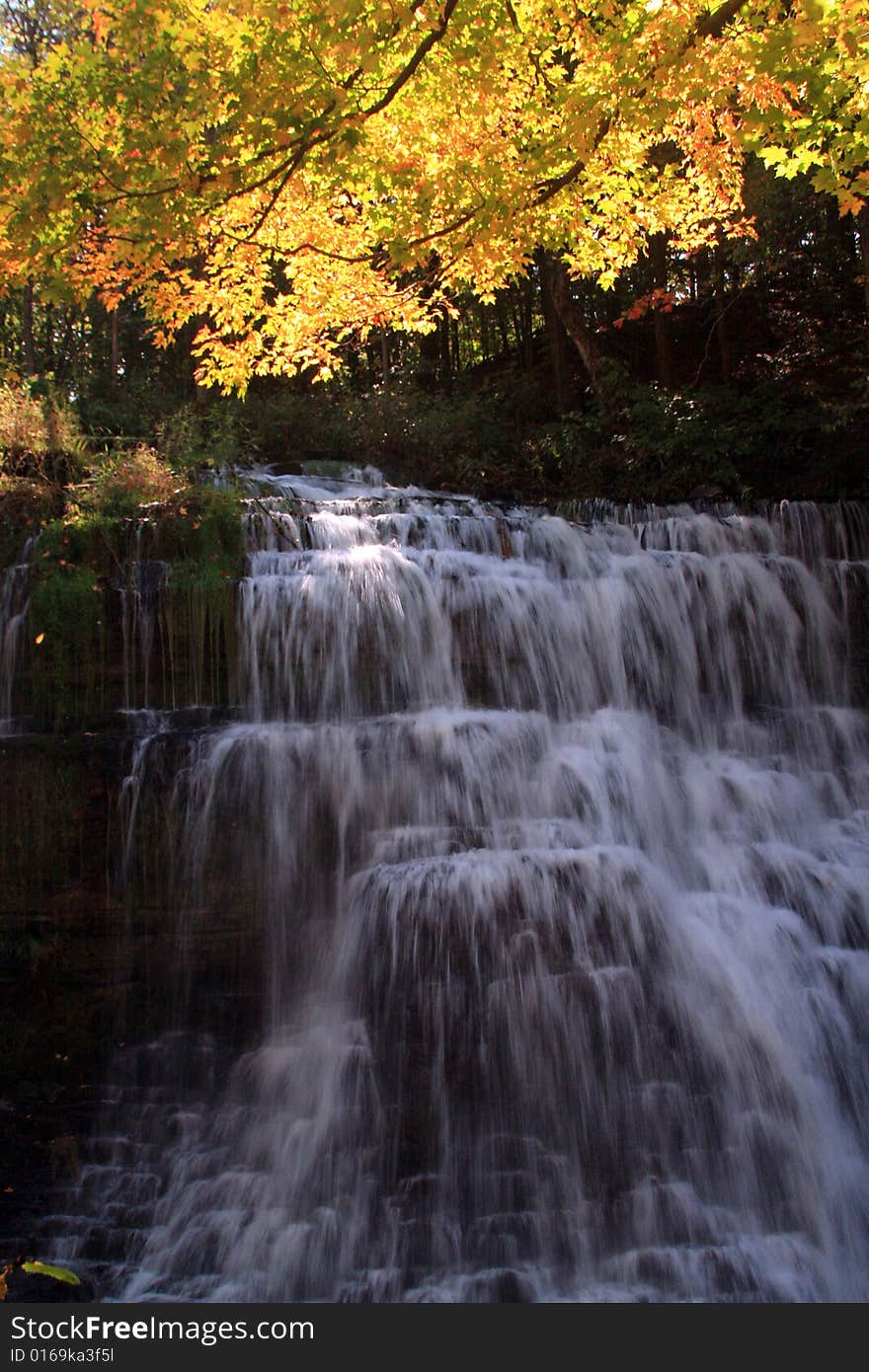 A small waterfall cascades down its steps through thick vegetation and fall colors. A small waterfall cascades down its steps through thick vegetation and fall colors