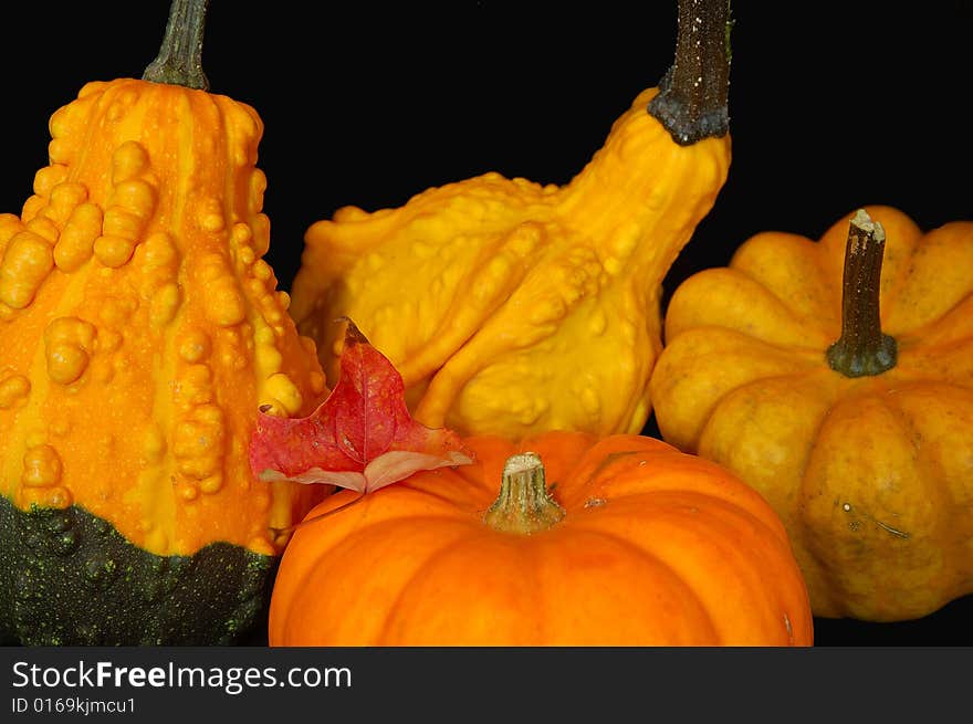 An image of various autumn vegetables and a red leaf signifying Thanksgiving season. An image of various autumn vegetables and a red leaf signifying Thanksgiving season.