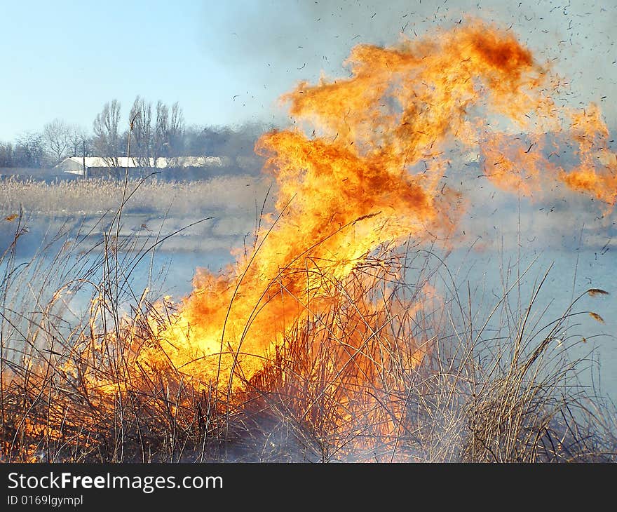 A bright fire is burned by a reed on a lake