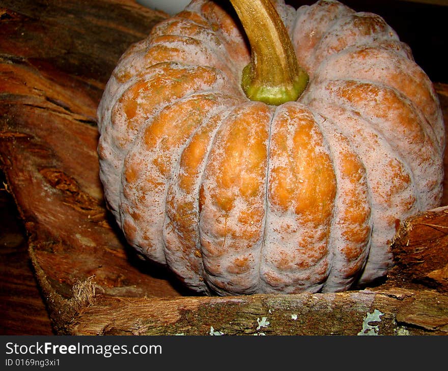 Pumpkin