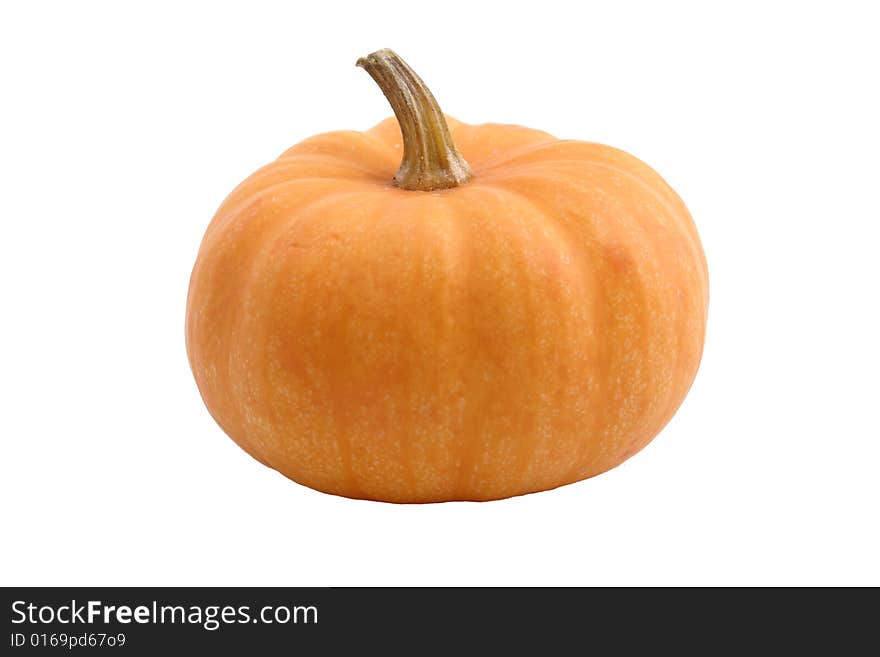 Pumpkin.