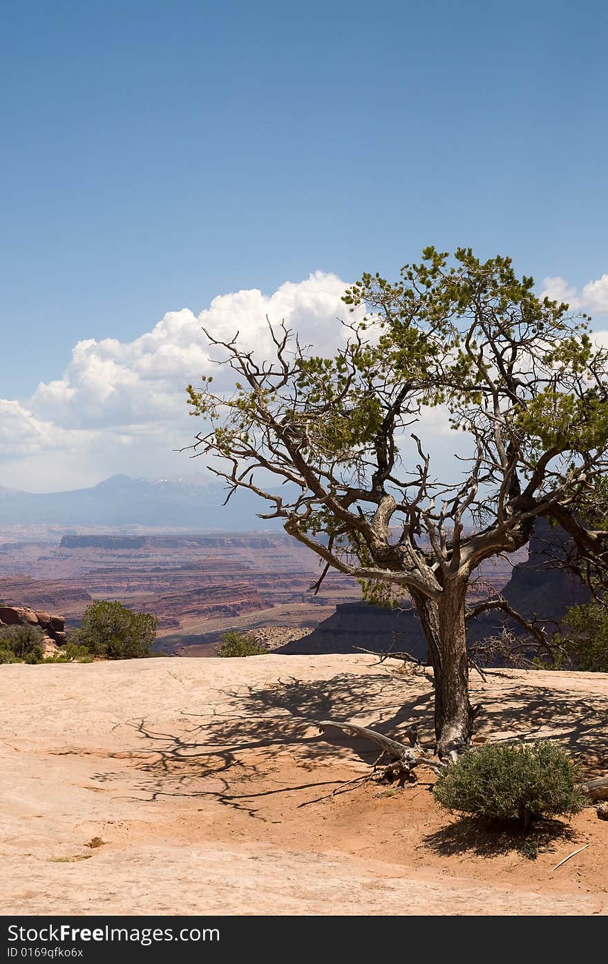 Canyonlands utah