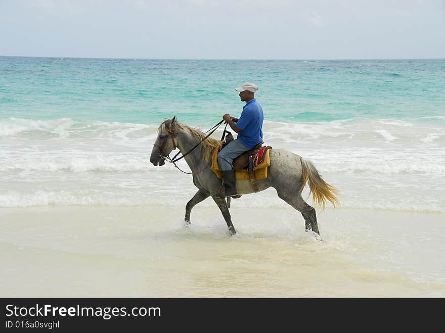 Knight in tropical paradise, by the beautiful Macao beach  in Punta Cana, Dominican Republic. Knight in tropical paradise, by the beautiful Macao beach  in Punta Cana, Dominican Republic