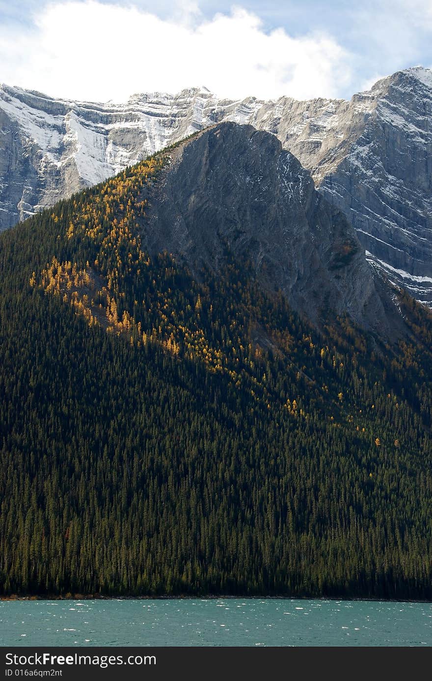 Moutain and trees