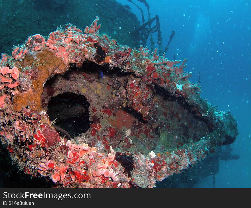 This is colorful coral on the United Caribbean wreck in south Florida. This is colorful coral on the United Caribbean wreck in south Florida.