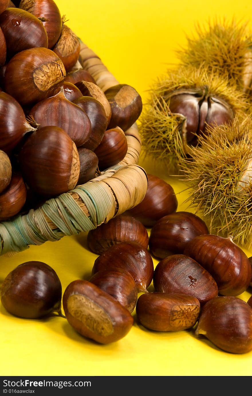 Many ripe chestnuts on yellow background