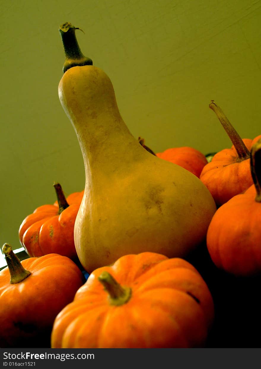 A good close up of some marrows in a plate