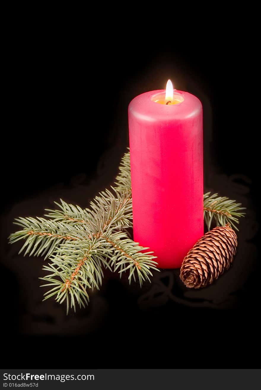 Red celebratory burning candle with furtree green branch on a black background