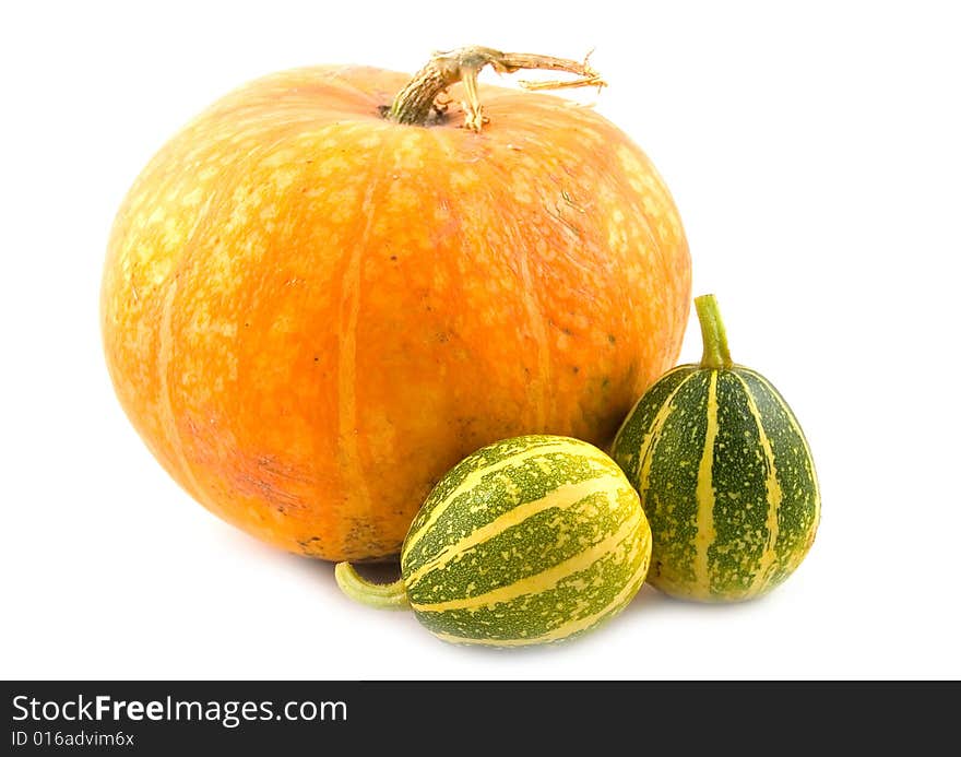 Striped decorative pumpkins near to big present pumpkin on white background