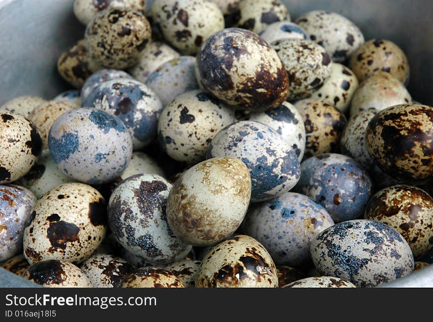 Many Partridge Eggs