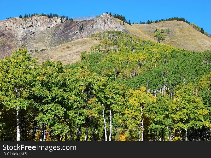 Sheep River Valley In Autumn