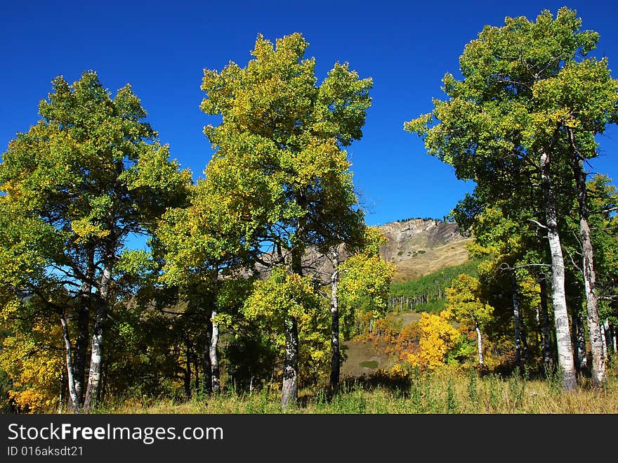 Sheep River Valley in Autumn