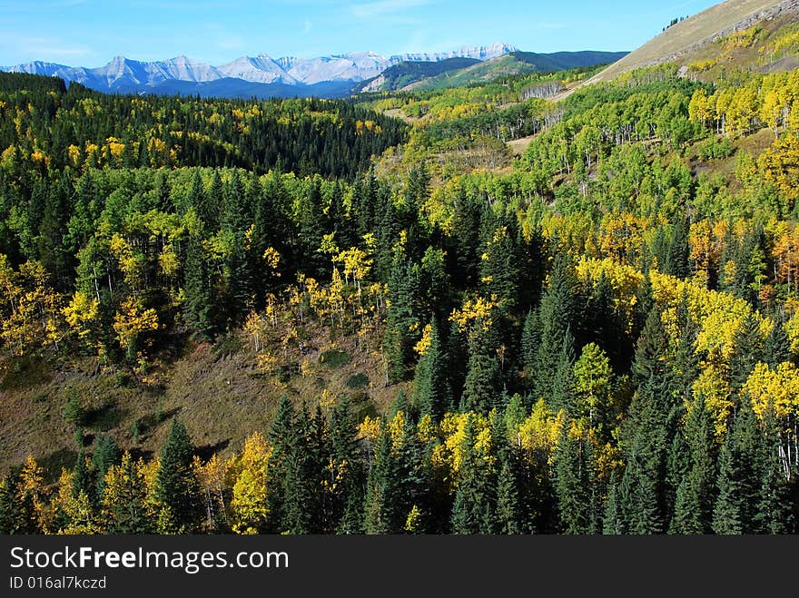 Sheep River Valley In Autumn