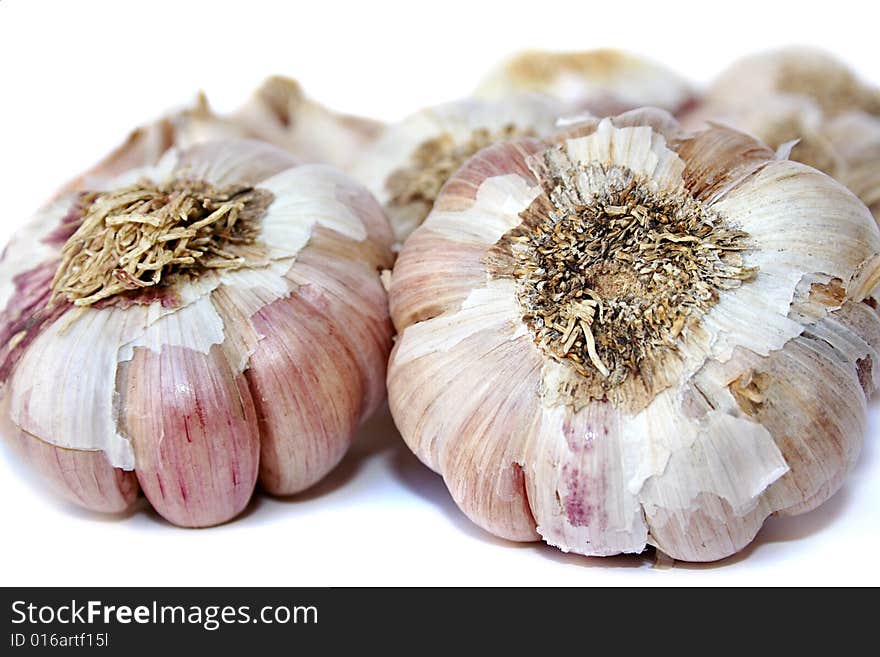 Garlic