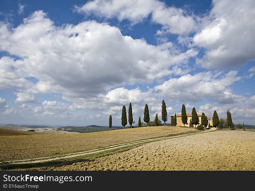 Tuscan Landscape, Farm And Cypress