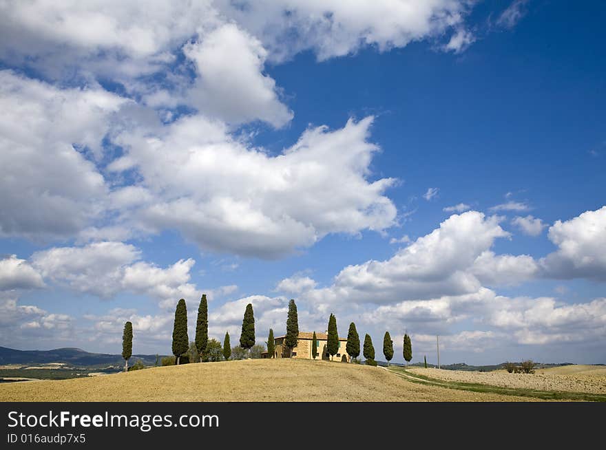 Tuscan Landscape, farm and cypress