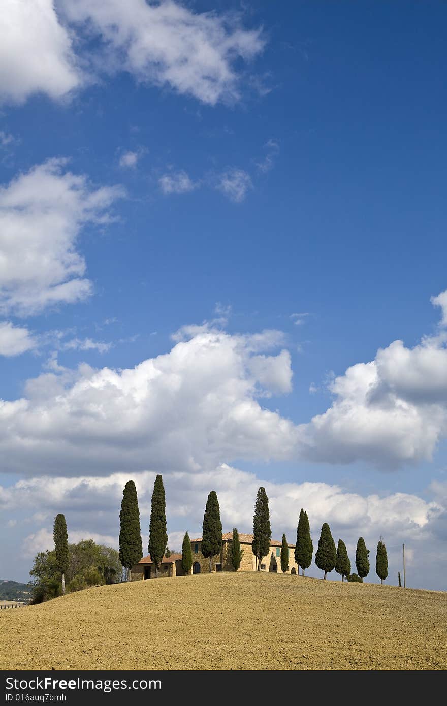 Tuscan Landscape, Farm And Cypress