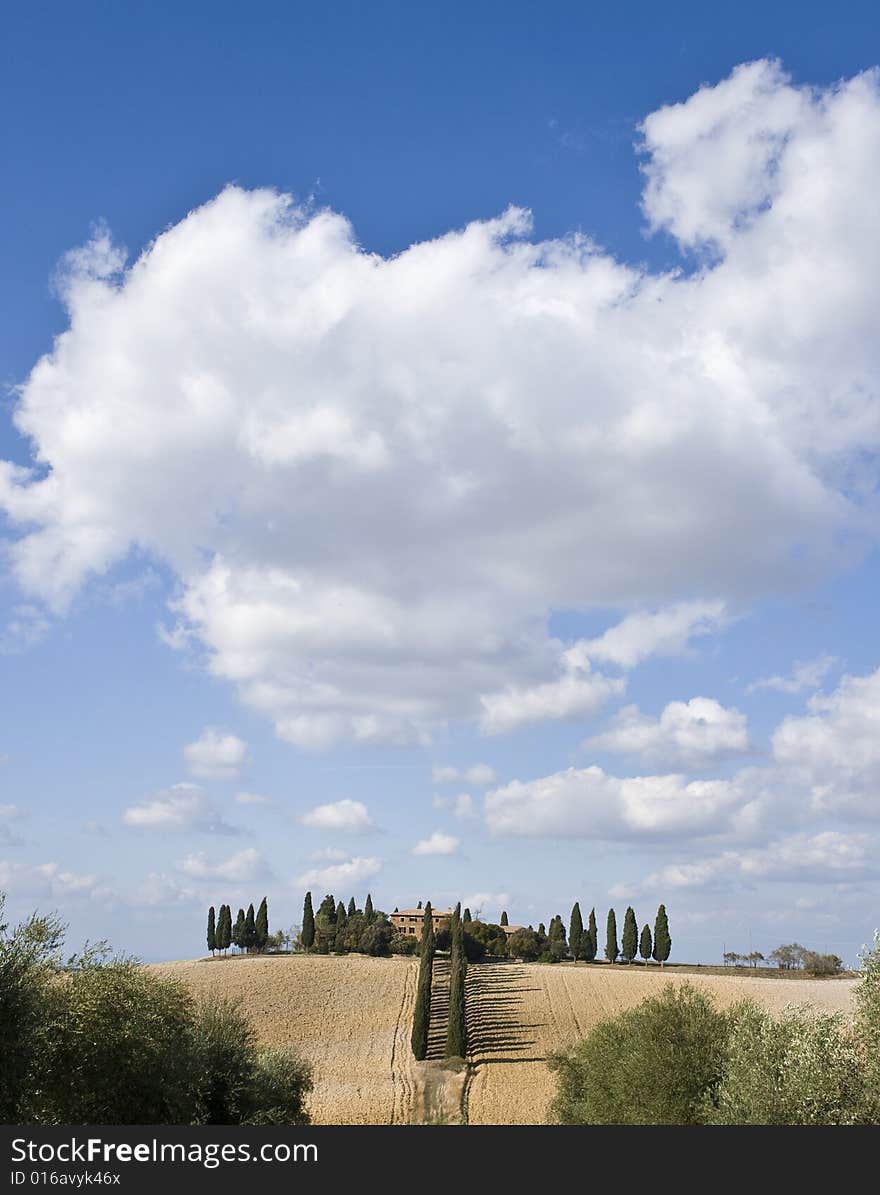 Tuscan Landscape, farm and cypress