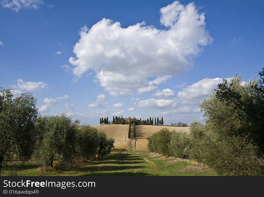 Tuscan landscape whit cloud, valle d'Orcia, italy. Tuscan landscape whit cloud, valle d'Orcia, italy