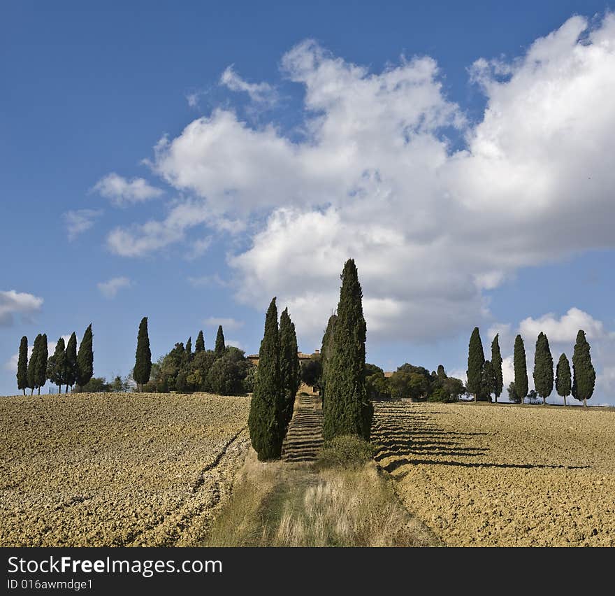 Tuscan landscape whit cloud, valle d'Orcia, italy. Tuscan landscape whit cloud, valle d'Orcia, italy