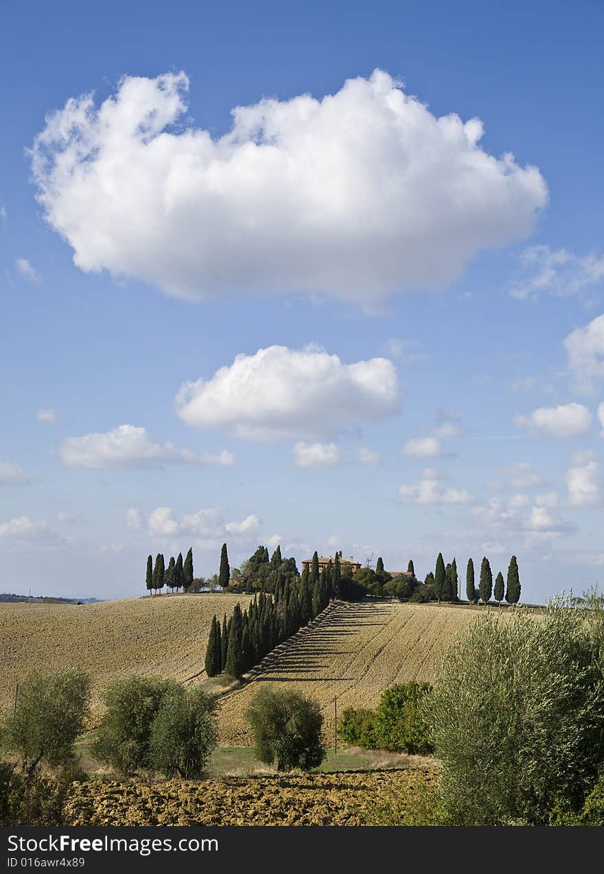 Tuscan Landscape, farm and cypress